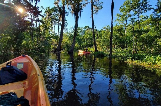Small-Group Manchac Swamp Kayak Tour - Fitness level and who this tour fits best