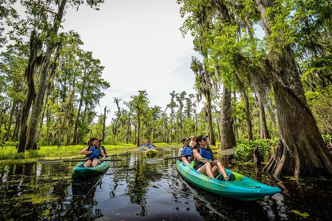 Small-Group Manchac Swamp Kayak Tour with Local Guide - Key highlights that matter (and why)