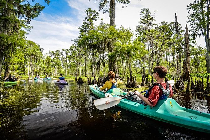 Small-Group Manchac Swamp Kayak Tour with Local Guide - Manchac Swamp from New Orleans, the setting you can feel