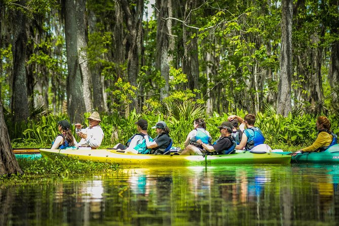 Small-Group Manchac Swamp Kayak Tour with Local Guide - What to bring for a comfortable swamp paddle