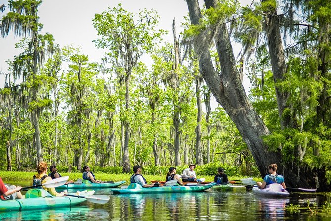 Small-Group Manchac Swamp Kayak Tour with Local Guide - Value check: is $93 worth your time?