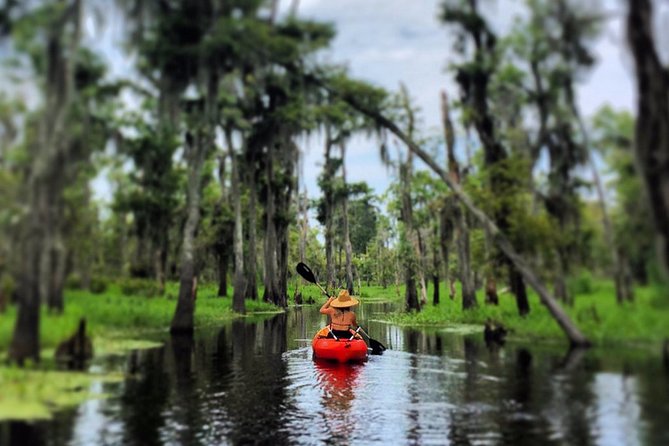 Small-Group Manchac Swamp Kayak Tour - Getting from New Orleans to the water, without adding stress