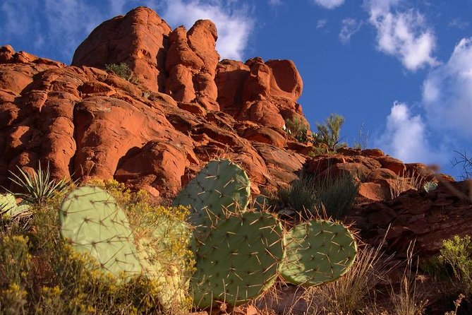 Small Group or Private Sedona and Native American Ruins Day Tour - Uptown Sedona Free Time: 2 to 3 Hours to Do It Your Way