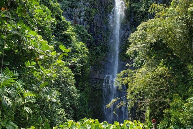 Small-Group Road to Hana Adventure Tour with Pickup & Lunch - Road to Hana, Small-Group Style: Why a Guide Makes It Worth It