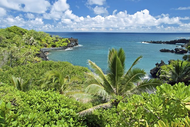 Small-Group Road to Hana Adventure Tour with Pickup & Lunch - Pickup Timing and What to Pack for an 8 to 11 Hour Day