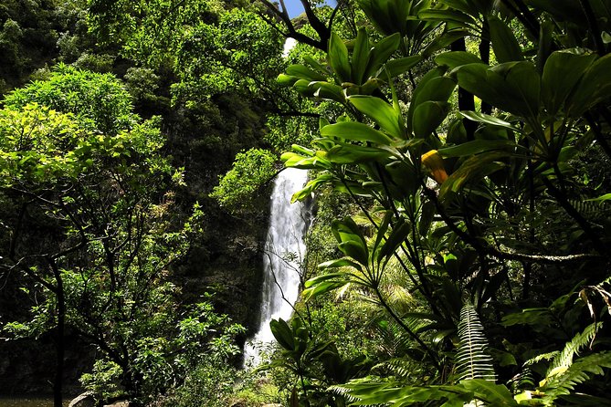 Small-Group Road to Hana Luxury Tour - Stop 3: Ke‘anae Point, taro fields, and lava meeting the Pacific