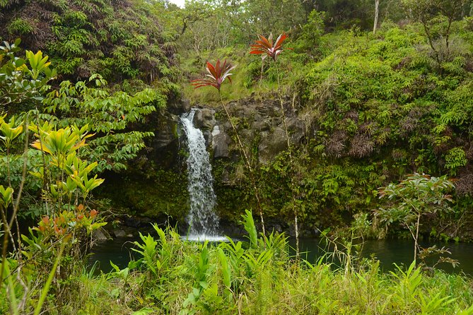 Small-Group Road to Hana Luxury Tour - Stop 5: Pua’a Ka’a State Park freshwater waterfall pool, with real conditions