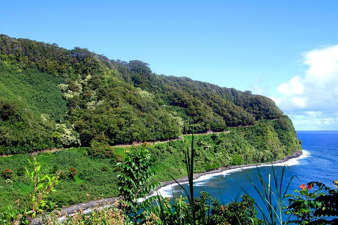 Small-Group Road to Hana Luxury Tour - Stop 1: The Hana Highway stretch, plus Hana Beach and a road-side surf glimpse