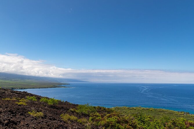 Small-Group Snorkel at Kealakekua Bay in Captain Cook, Big Island - Captain and Crew: Wildlife Scans Plus Local Stories