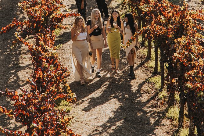 Small Group: Ultimate Napa & Sonoma Wine Tour from San Francisco - Sonoma Square lunch: the choose-your-own adventure (and why it’s smart)