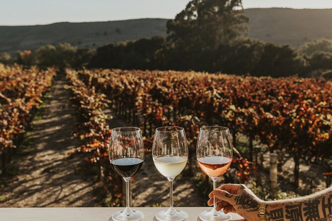 Small Group: Ultimate Napa & Sonoma Wine Tour from San Francisco - Guides can make or break a wine day (and this one has standouts)