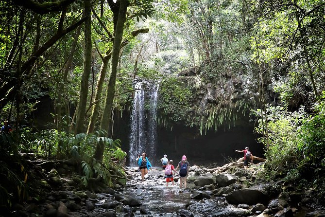 Small Group Waterfall and Rainforest Hiking Adventure on Maui - Hana Highway Stop: Twin Falls Maui and Quick Photo Wins