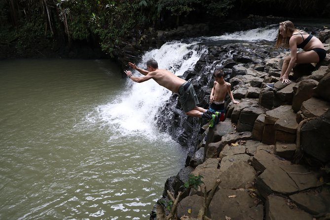 Small Group Waterfall and Rainforest Hiking Adventure on Maui - Waterfalls and Pool Time: Swimming Holes Plus Optional Cliff Jumping