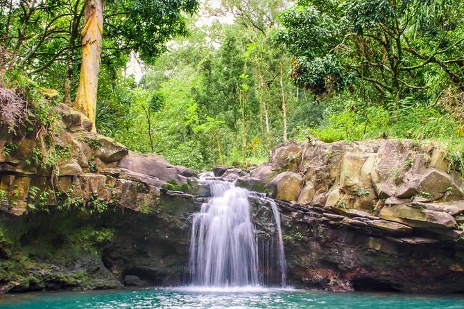 Small Group Waterfall and Rainforest Hiking Adventure on Maui - Who Should Book This (and Who Might Want a Different Plan)