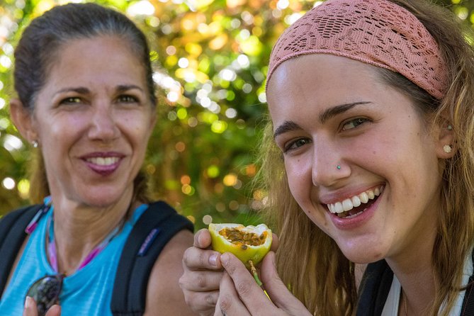 Small Group Waterfall and Rainforest Hiking Adventure on Maui - What to Pack, Wear, and Do Before You Go