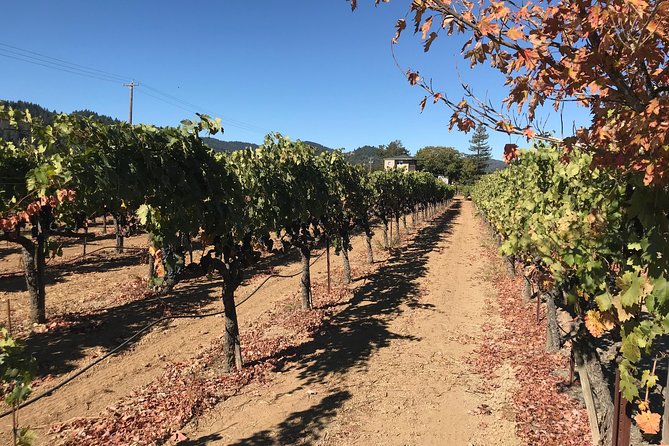 Small-Group Wine Country Tour from San Francisco with Tastings - Sonoma Plaza lunch hour: how to use your free time