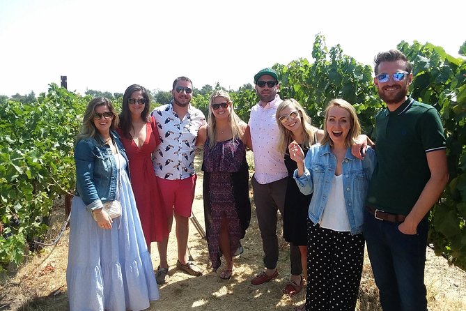 Small-Group Wine Country Tour from San Francisco with Tastings - Peter Cellars and other lineup: what to expect from each tasting room