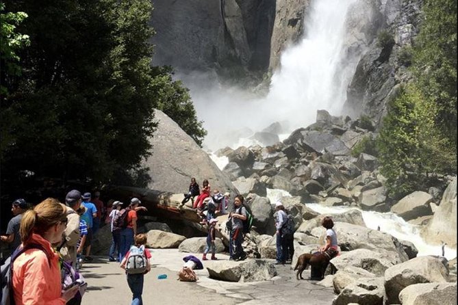 Small Group Yosemite and Giant Sequoias Day Trip from San Francisco - Tunnel View and Bridalveil Fall: the classic photos, without guesswork