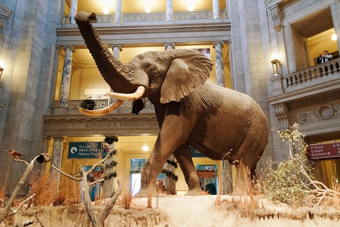 Smithsonian Museum of Natural History - Exclusive Guided Tour - Smithsonian Natural History in 2 Hours, what you gain right away