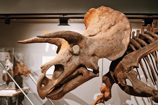 Smithsonian Museum of Natural History - Exclusive Guided Tour - From ancient Egypt to real mummy stories and death rituals