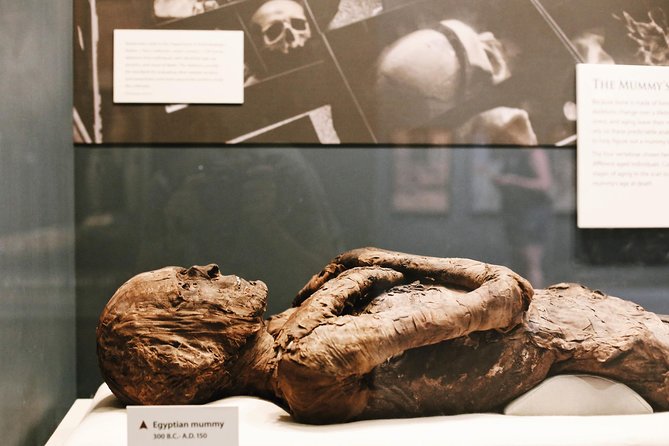 Smithsonian Museum of Natural History - Exclusive Guided Tour - Practical tips for security, quiet rooms, and getting the most from 2 hours
