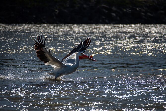 Snake River Scenic Float - Moose Wilson Road: what you are likely to see