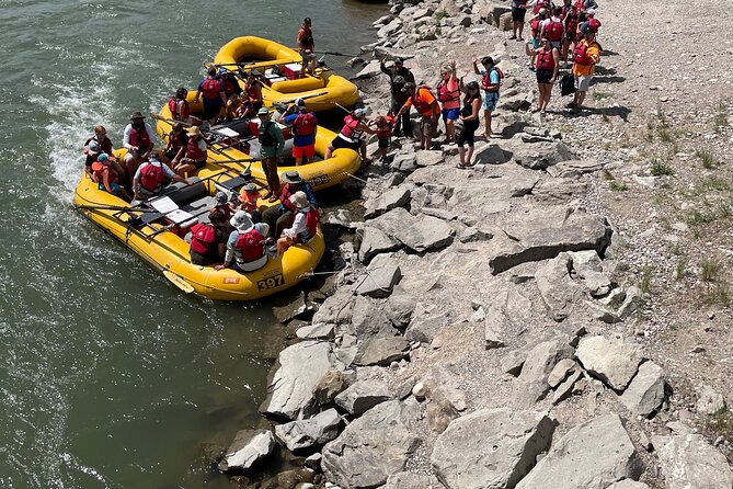 Snake River Scenic Float Trip with Teton Views in Jackson Hole - Wildlife expectations: eagles are the most reliable, moose are a bonus