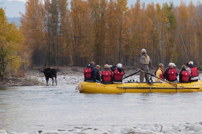 Snake River Scenic Float Trip with Teton Views in Jackson Hole - What’s included in the price, and what might cost extra