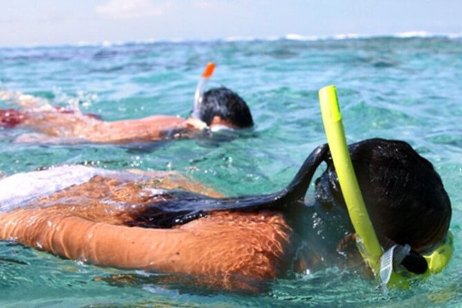 Snorkel & Dolphin Sightseeing Tour Aboard the Footloose - Shell Island Snorkeling and Shell Hunting: The Real Payoff