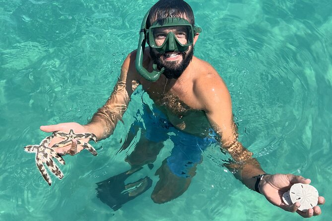 Snorkel & Dolphin Sightseeing Tour Aboard the Footloose - Who This Tour Fits Best, and Who Should Rethink It