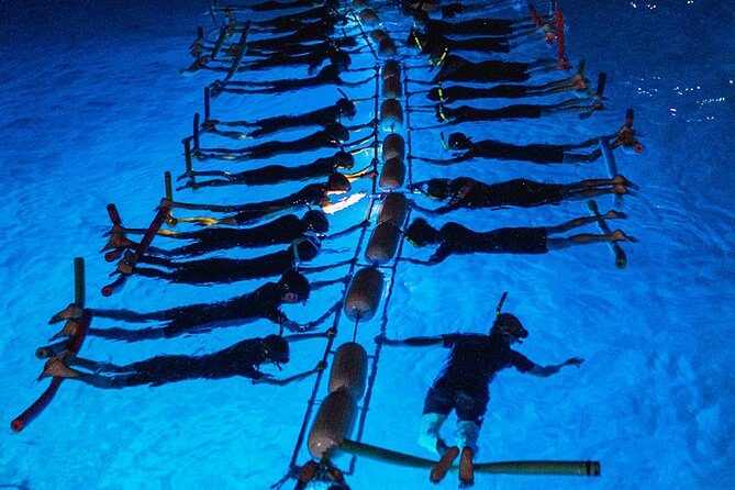 Snorkel with Manta Rays Guaranteed - Safety briefing and gear: what keeps first-timers confident