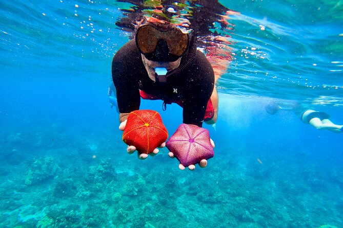 Snorkeling for Non-Swimmers with Photos Guided Tour Wailea Beach - Price And Value: Is $149 Worth It In Maui?