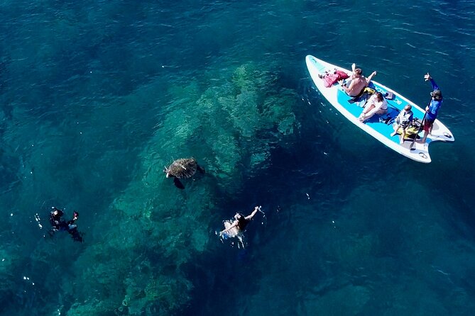 Snorkeling for Non-Swimmers with Photos Guided Tour Wailea Beach - Getting To Wailea Alanui Dr: Where You Meet And How To Prepare