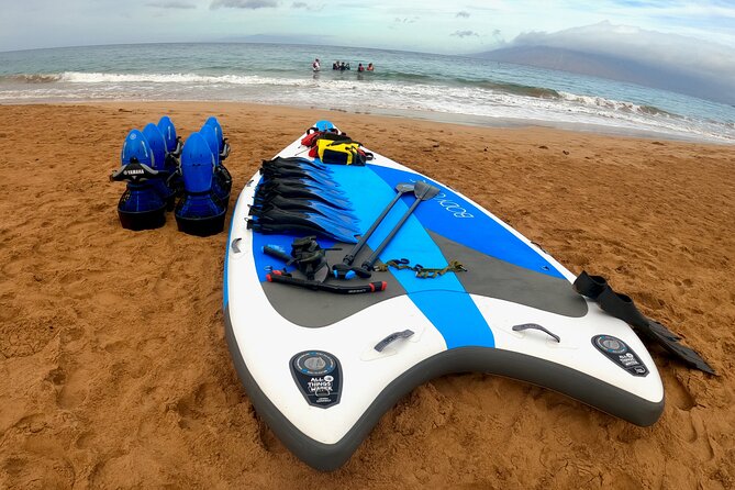 Snorkeling for Non-Swimmers with Photos Guided Tour Wailea Beach - Paddleboard Reef Time: Seeing Turtles Without The Swim Stress