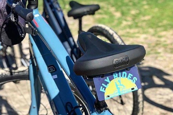 SoCal Riviera Electric Bike Tour of La Jolla and Mount Soledad - Children’s Pool: the unusual human-seal co-share