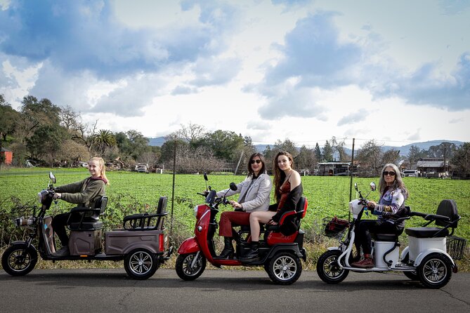 Sonoma Wine Country Electric Trike Tour - 3 hours - Key highlights to know before you go