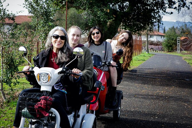 Sonoma Wine Country Electric Trike Tour - 3 hours - Electric trikes, real scenery: why this Sonoma plan works