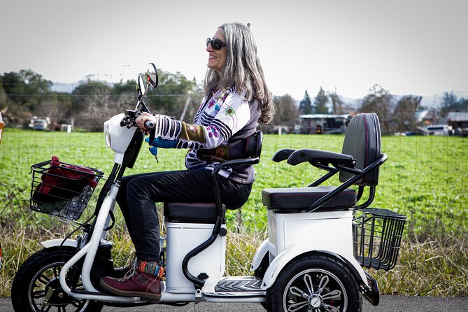 Sonoma Wine Country Electric Trike Tour - 3 hours - Sonoma first: 90 minutes riding past vineyards and working farms