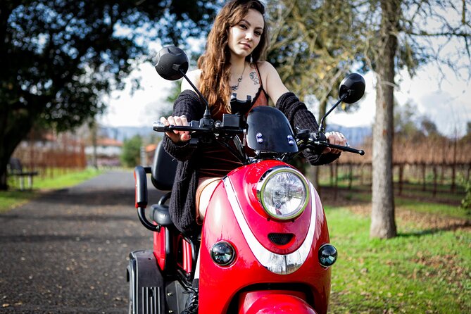 Sonoma Wine Country Electric Trike Tour - 3 hours - Mission San Francisco Solano: a northern California mission visit