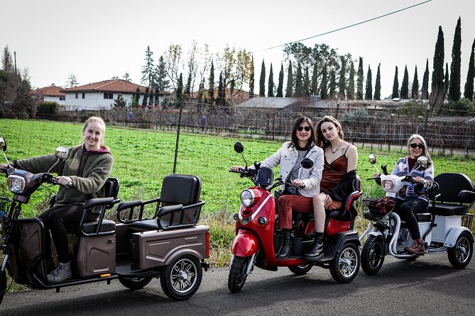 Sonoma Wine Country Electric Trike Tour - 3 hours - Price and logistics: what $175 per person really buys