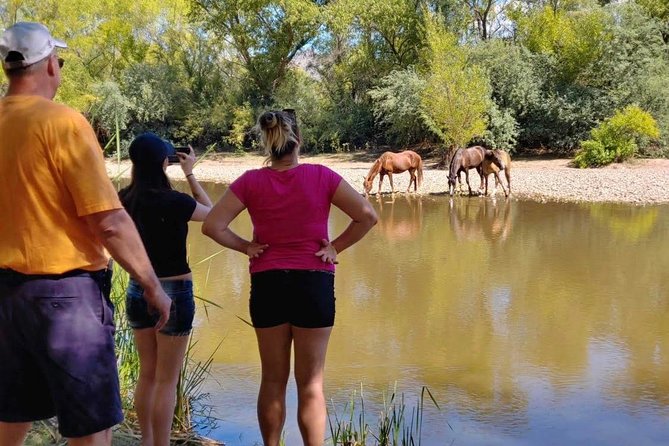 Sonoran Desert Jeep Tour - Reata Pass: Western Stage Coach History You Can See