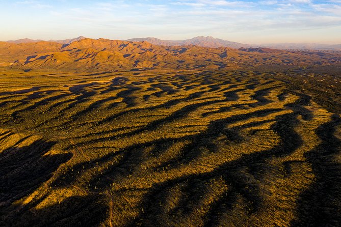 Sonoran Desert Jeep Tour - How Bumpy Is the Ride, Really?