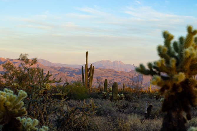 Sonoran Desert Jeep Tour at Sunset - Stop 1 in Tonto National Forest: where the desert feels close up
