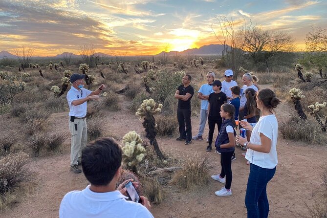 Sonoran Desert Jeep Tour at Sunset - The sunset finale: saguaro silhouette time