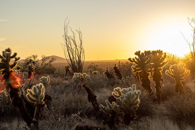 Sonoran Desert Jeep Tour at Sunset - Your ride reality check: bumpy, low-speed, and guide driven