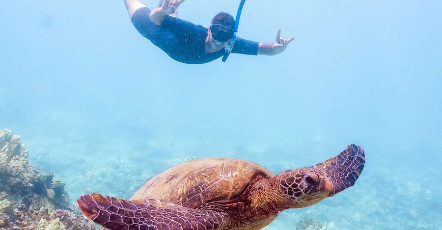 South Maui: Molokini Snorkeling Adventure - Key things you will notice right away