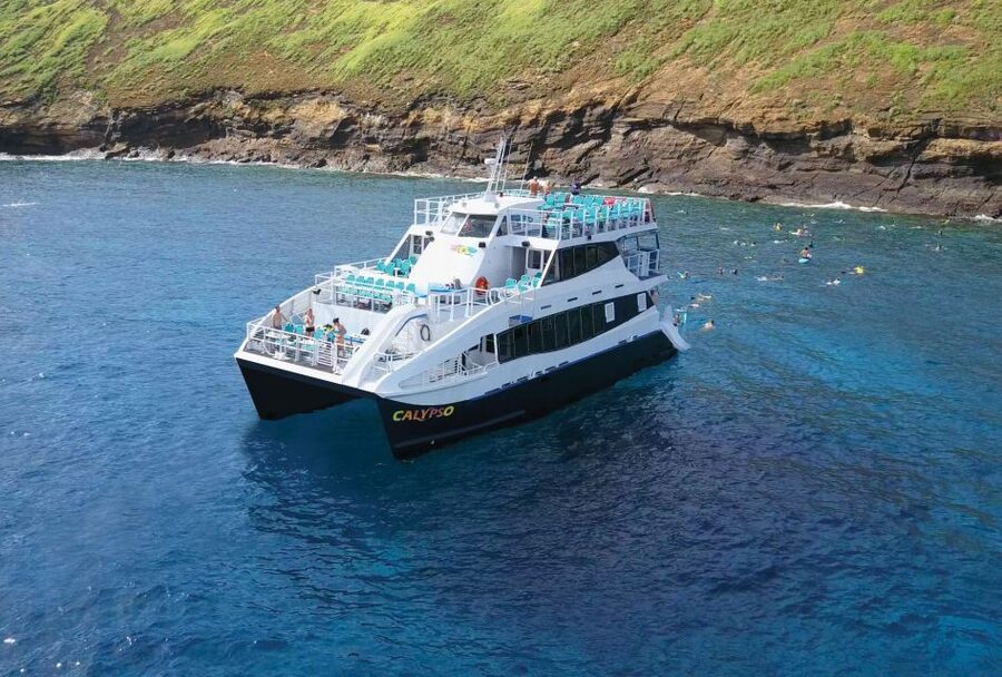 South Maui: Molokini Snorkeling Adventure - Who should book this Molokini and Turtle Town trip
