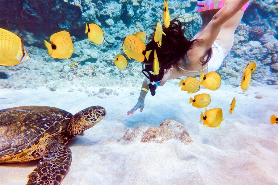 South Maui: Molokini Snorkeling Adventure - The fun extras you will actually use