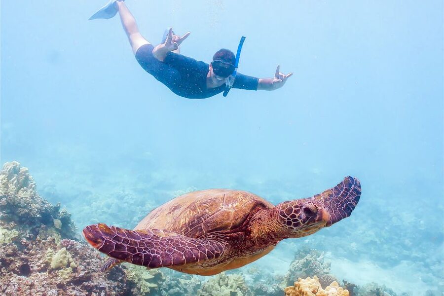 South Maui: Molokini Snorkeling Adventure - Two stops that make the half-day feel complete