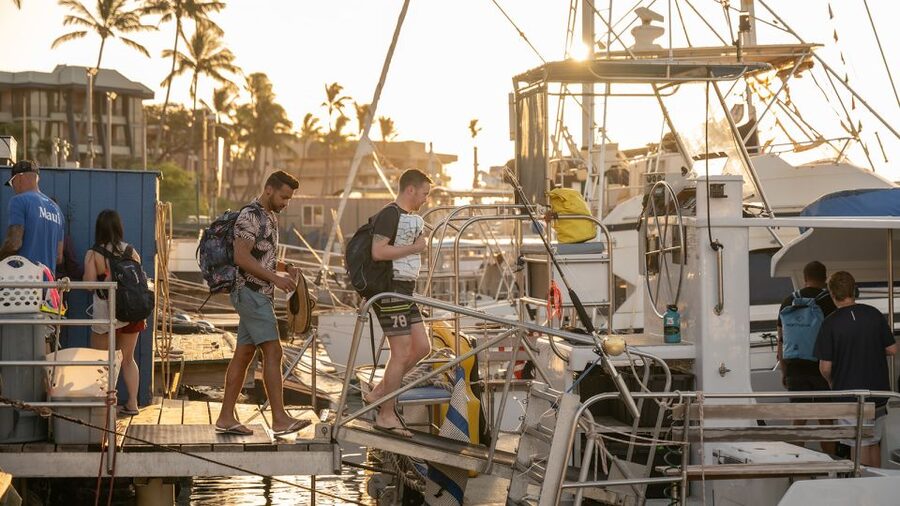 South Maui: Molokini & Turtle Town Snorkeling Tour with Meal - Key things that make this snorkel day work